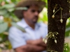 [en]Hershey's Project / Mexico Cocoa Foundation[/en][es]Proyecto Hershey´s/ Fundación Cacao México[/es]